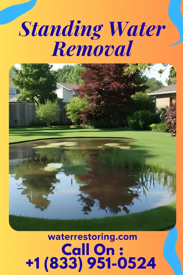 Standing Water Removal in Hamburg, IA